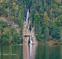 fileadmin/roha/images_galerie/orte_landschaft/Berchtesgaden/Koenigssee/BGD-KOE-SCHREINB-0001-D-roha-Berchtesgaden-Koenigssee-Schreinbachfall-Herbstwald-Wasserfall.png