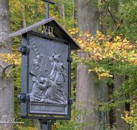 fileadmin/roha/images_galerie/kirche_religion/Ainring-Kreuzweg/KKKM-AINR-KR-07-0051-D-roha-Kreuzweg-Ainring-Ulrichshoegl-Herbst-Wald.png