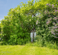 fileadmin/roha/images_galerie/kirche_religion/Teisendorf/KKKM-TEIS-RUECK-HU-0010-D-roha-Wegkreuz-Totenbretter-Teisendorf-Hunkling.png