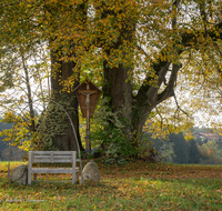 fileadmin/roha/images_galerie/kirche_religion/Teisendorf/KKKM-TEIS-WOLFGR-0022-D-roha-Wegkreuz-Teisendorf-Wolfgrub-Linde.png