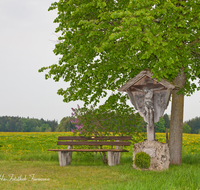 fileadmin/roha/images_galerie/kirche_religion/Weildorf/KKKM-WEIL-KOTH-0011-D-roha-Wegkreuz-Weildorf-Kothbruenning-Bank-Fruehling.png