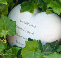 fileadmin/roha/images_galerie/Baum-natur-garten/Haus-Blumenschmuck-Deko/LANDA-GART-HERZ-0003-D-roha-Landart-Garten-Herz-Deko-Efeu-Traum.png