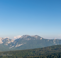 fileadmin/roha/images_galerie/orte_landschaft/Stoisser-Alm/TEI-STO-0029-15-D-roha-Teisendorf-Anger-Stoisseralm-Hochstaufen-Zwiesel-Blumenwiese-Almwiese.png