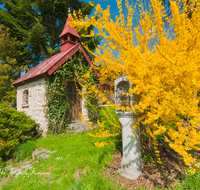 fileadmin/roha/images_galerie/kirche_religion/Teisendorf/KKKM-TEIS-UFER-0032-D-roha-Kapelle-Teisendorf-Ufering-Linden-Forsythie.png