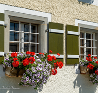 fileadmin/roha/images_galerie/Fenster-Tueren/LANDA-FENST-BERG-BLUM-0003-D-roha-Landart-Fenster-Blumenschmuck.png