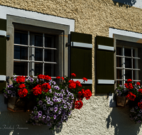 fileadmin/roha/images_galerie/Fenster-Tueren/LANDA-FENST-BERG-BLUM-0003-D-roha-Landart-Fenster-Blumenschmuck.png