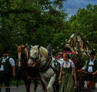 fileadmin/roha/images_galerie/orte_landschaft/Petting/Schoenram-Bezirksmusikfest/MU-BLA-SCHOEN-2024-1-1218-5-D-H-roha-Musik-Bezirksmusikfest-Schoenram.png