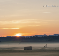 fileadmin/roha/images_galerie/Hintergrund-Download/1024x800/SO-AU-HAARM-0015-04-D-roha-Sonne-Sonnenaufgang-Haarmoos-Nebel.png