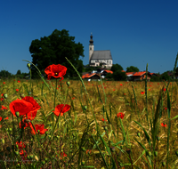 fileadmin/roha/images_galerie/Landwirtschaft/AN-0020-MOHN-03-D-roha-Anger-Kirche-Mohn.png