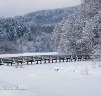 fileadmin/roha/images_galerie/Winter/AN-HOE-WIN-0089-01-D-roha-Anger-Hoeglwoerth-See-Winter-Nebel-Eis-Weg-Steg.png