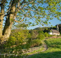 fileadmin/roha/images_galerie/kirche_religion/Anger/AN-VACH-0015-D-roha-Anger-Vachenlueg-Kirche-Weg.png