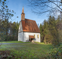 fileadmin/roha/images_galerie/orte_landschaft/Fridolfing/FRID-KOLOM-0010-D-roha-Fridolfing-St-Koloman-Kirche-Wald.png