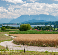 fileadmin/roha/Interessantes-in-Kurzform/WAG-SEE-0005-3-D-roha-Waginger-See-Panorama-Bicheln-Untersberg-Hochstaufen-Zwiesel-Weg-Getreide-Feld-Hafer.png