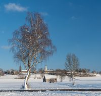 fileadmin/roha/images_galerie/orte_landschaft/Saaldorf/ABTS-WI-0003-D-roha-Abtsdorf-Winter-Baum-Haarmoos.png