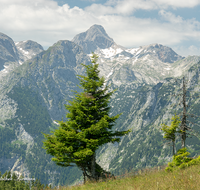 fileadmin/roha/images_galerie/orte_landschaft/Berchtesgaden/Jenner-Schoenau/BGD-JENN-GOTZ-0001-02-D-roha-Berchtesgaden-Jenner-Gotzen-Alm-Steinernes-Meer.png