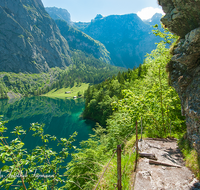 fileadmin/roha/images_galerie/orte_landschaft/Berchtesgaden/Koenigssee/BGD-KOE-OBERS-0016-D-roha-Berchtesgaden-Obersee-Koenigsee-Wasser-Weg-Stufe.png