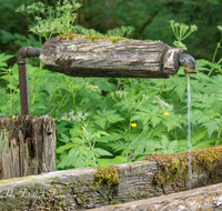 fileadmin/roha/images_galerie/Wasser-Brunnen/LANDA-BRUN-ANG-ACHNER-0005-D-roha-Landart-Brunnen-Wasser-Teisenberg-Anger-Achner-Natur.png