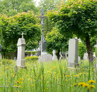 fileadmin/roha/images_galerie/orte_landschaft/Laufen/Klosterfriedhof/LAUF-KAPUZ-KI-0005-D-roha-Laufen-Kapuzinerkloster-Friedhof-Blumenwiese-_1_.png