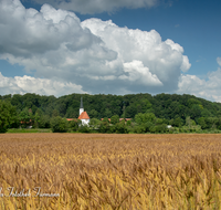 fileadmin/roha/images_galerie/orte_landschaft/Laufen/LAUF-NIEDERH-0004-D-roha-Laufen-Niederheining-Laufener-Landweizen-Getreide.png