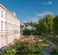 fileadmin/roha/images_galerie/orte_landschaft/Salzburg/Mirabell-Zwergerlgarten/SA-MIRA-GART-0001-4-D-roha-Salzburg-Schloss-Mirabell-Garten-Rosen-Festung-Hohensalzburg.png