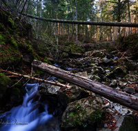 fileadmin/roha/images_galerie/Baum-natur-garten/Baeume/WAS-WILDB-STOISS-0102-D-roha-Wasser-Wildbach-Stoissermaisbach-Poschennockbach-Teisenberg.png