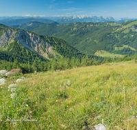 fileadmin/roha/images_galerie/orte_landschaft/Bergen/BERG-HOCHF-0002-2-D-roha-Bergen-Hochfelln-Hochgern-Wilder-Kaiser.png