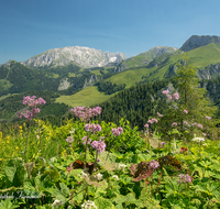 fileadmin/roha/images_galerie/orte_landschaft/Berchtesgaden/Jenner-Schoenau/BGD-JENN-GOTZ-0005-02-D-roha-Berchtesgaden-Jenner-Gotzen-Alm-Hoher-Goell.png