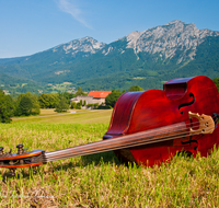 fileadmin/roha/images_galerie/orte_landschaft/Bad_Reichenhall/MU-BASSG-BAD-REI-0004-D-roha-Musik-Bassgeige-Bad-Reichenhall-Burg-Gruttenstein.png