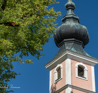 fileadmin/roha/images_galerie/orte_landschaft/Waging/WAG-MUEHLB-0034-D-roha-Waging-Muehlberg-Kirche-Linde-Baum-Zwiebelturm.png