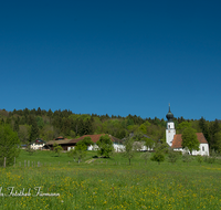 fileadmin/roha/images_galerie/orte_landschaft/Ainring/AINR-0016-D-roha-Ainring-Kirche-Obstgarten-Blumenwiese.png