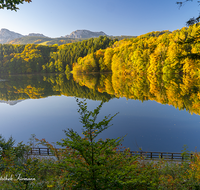 fileadmin/roha/images_galerie/orte_landschaft/Anger/Hoeglwoerth/AN-HOE-HERB-0007-D-roha-Anger-Hoeglwoerth-See-Hochstaufen-Zwiesel-Herbst-Wald-Spiegelung.png