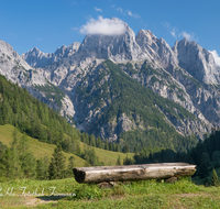 fileadmin/roha/images_galerie/Zaun-Bank/BGD-NAT-BIND-0024-1-D-roha-Berchtesgaden-Nationalpark-Bindalm-Bank-Muehlsturzhoerner.png