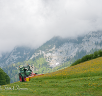 fileadmin/roha/images_galerie/Landwirtschaft/LANDW-MASCH-MAEH-RA-0004-D-roha-Landwirtschaft-Ramsau-Berchtesgaden-Reiter-Alpe-Scheffaulehen-Traktor-Maehen.png