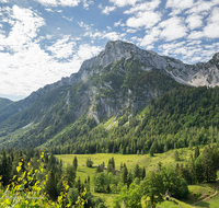 fileadmin/roha/images_galerie/orte_landschaft/Anger/Anger/PID-STEIN-ALM-0015-0-11-D-roha-Piding-Steiner-Alm-Hochstaufen-Mittelstaufen-Zwiesel.png