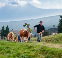 fileadmin/roha/images_galerie/brauchtum/Almabtrieb/Almabtrieb-Stoisser-Alm/BR-ALMAB-STOISS-2016-1424-05-D-roha-Brauchtum-Almabtrieb-Stoisser-Alm-Teisendorf-Anger.png