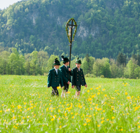 fileadmin/roha/images_galerie/brauchtum/Tracht/Trachtenwallfahrt_Raiten/BR-TRACH-WALL-RAI-0001-D-roha-Tracht-Trachtenwallfahrt-Raiten-Chiemgau-Alpenverband-Blumenwiese.png