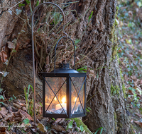 fileadmin/roha/images_galerie/brauchtum/Weihnachten-Laternenzauber-Anger/BR-WEIH-HOE-LA-2016-11-26-1601-01-D-roha-Brauchtum-Weihnachten-Hoeglwoerth-See-Anger-Laternenzauber.png