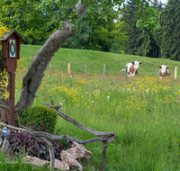 fileadmin/roha/images_galerie/kirche_religion/Neukirchen/KKKM-NEUK-SPIT-0005-D-roha-2-Wegkreuz-Neukirchen-Spittenreut-Kuh.png