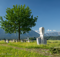 fileadmin/roha/images_galerie/orte_landschaft/Salzburg/Gaisberg-Flughafen-Wals/SA-WALS-BIRN-0001-D-roha-Salzburg-Wals-Birnbaum.png