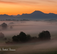 fileadmin/roha/images_galerie/stimmung-Sonne/Sonnenaufgang/SO-AU-ANG-VACH-0014-D-roha-Sonnenaufgang-Anger-Vachenlueg-Strass-Ainring-Gaisberg-Surtal.png