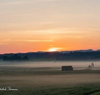 fileadmin/roha/images_galerie/orte_landschaft/Haarmoos/SO-AU-HAARM-0015-03-D-roha-Sonne-Sonnenaufgang-Haarmoos-Nebel.png