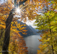 fileadmin/roha/images_galerie/stimmung-Sonne/BGD-KOE-SCHIFF-0034-02-D-roha-Berchtesgaden-Koenigssee-Malerwinkel-Herbst.png