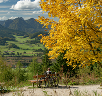 fileadmin/roha/images_galerie/orte_landschaft/Inzell/INZ-0112-D-roha-Inzell-Berge-Panorama-Herbst.png