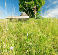 fileadmin/roha/images_galerie/kirche_religion/Kirchanschoering/KKKM-KIRCHA-KIRCHST-0003-D-roha-Wegkreuz-Kirchanschoering-Kirchstein-Linde-Bank.png