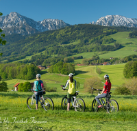 fileadmin/roha/images_galerie/Freizeit-Sport/Mountainbike-Radfahren/SPO-MOUN-ANG-0019-0818-D-roha-Sport-Mountainbike-Radfahren-Anger-Hochstaufen-Zwiesel.png