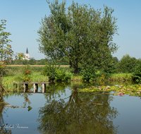 fileadmin/roha/images_galerie/orte_landschaft/Teisendorf/TEI-SUED-OST-0028-01-D-roha-Teisendorf-Sued-Ost-Weiher-Seerosen-Kirche.png