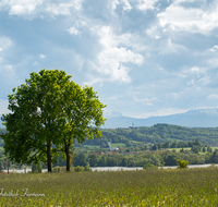 fileadmin/roha/images_galerie/orte_landschaft/Waging/WAG-SEE-0016-01-D-roha-Waging-See-Panorama-Landwirtschaft-Wonneberg.png