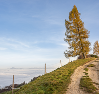 fileadmin/roha/images_galerie/wege/WEGE-ANG-FUER-0001-D-roha-Weg-Strasse-Anger-Fuermann-Alm-Herbst-Laerche.png