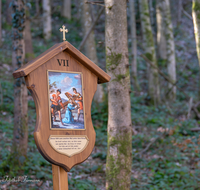 fileadmin/roha/images_galerie/kirche_religion/Anger/Hoeglwoerth-Kreuzweg/KKKM-ANG-HOEGLW-KR-7-0007-D-roha-Kreuzweg-Station-Anger-Hoeglwoerth-Wald.png