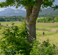 fileadmin/roha/images_galerie/Freizeit-Sport/E-Bike/SPO-E-BIKE-TEI-KARLS-0001-04-D-roha-Sport-E-Bike-Teisendorf-Hochstaufen-Karlsbach-Woerlach-Almeding.png